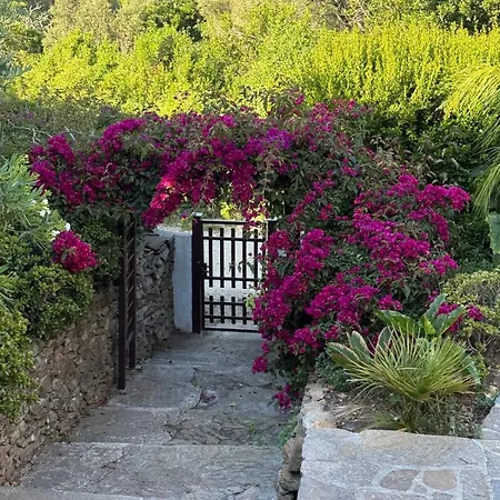 Rosette Ile Du Levant Dom wakacyjny