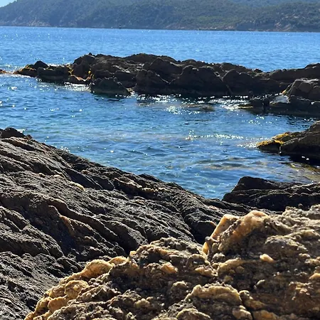 Rosette Ile Du Levant Hyères
