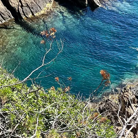 בית נופש Rosette Ile Du Levant הייר